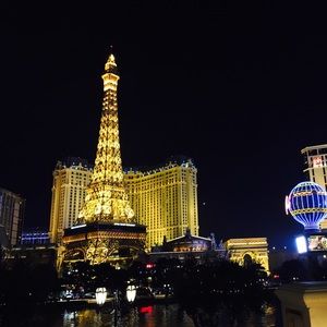 Meet your Posher, Stella